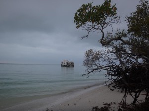 DSC00144 (1)